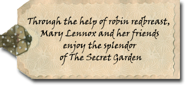 The Secret Garden Shadow Box